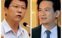 谢龙介民调大胜林俊宪，台最新民调结果出炉