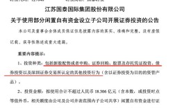 124亿市值公司豪掷138亿炒股理财，投资规模远超市值引发关注