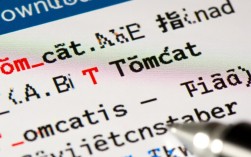 Tomcat下载步骤详解，如何快速找到并安装最新版本的Tomcat？