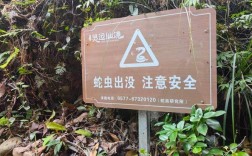 驴友登山惊现密集蛇出没警示牌