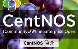 CentOS下载Wine，有哪些版本兼容性疑问及安装步骤？