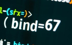 bind函数使用错误，错误代码67解析