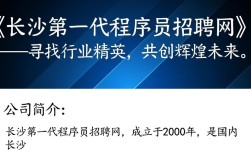 长沙第一代程序员招聘网，揭秘长沙早期程序员就业现状与挑战？