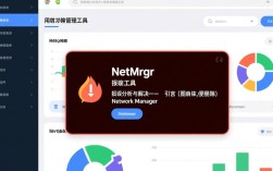 快速解决NetMgr网络管理错误定位技巧