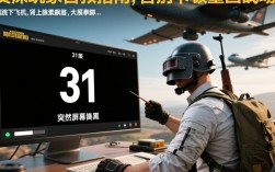 绝地求生报错31故障排查与解决指南