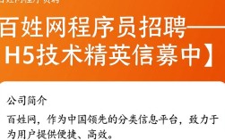 百姓网程序员招聘h5，揭秘高薪职位背后的技术挑战与机遇？