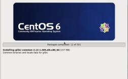 CentOS Kickstart是什么？如何利用它简化系统安装与配置？