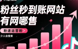 抖音粉丝秒到账平台推荐大全