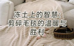 剪毛毯视频剪辑教程，轻松掌握剪辑技巧