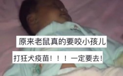 印度医院惊现悲剧，两名新生儿不幸被老鼠咬伤