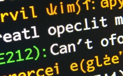 Vim编辑器文件打开错误处理指南