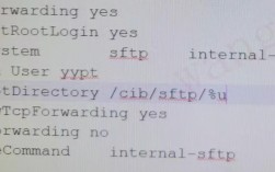 SFTP连接故障排查与解决指南