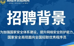 国家安全局程序员招聘网揭秘，国家安全局招聘程序员的选拔标准与要求？