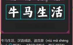 牛马剪辑模板视频教程指南