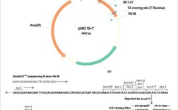 PMD报错是什么，该如何解决？