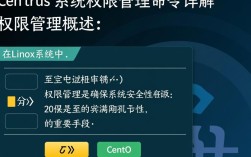 CentOS系统中设置文件权限的命令指南