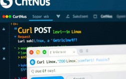 CentOS环境下使用curl进行POST请求时，具体步骤和常见问题有哪些？