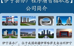 伊宁县办厂程序员招聘网，如何确保招聘流程的公正与高效？