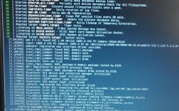 Kali Linux双系统安装常见错误及解决方法