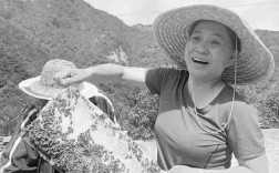 北京怀柔村支书遇难，遗体已寻获