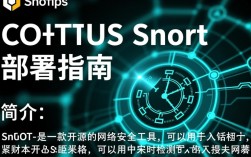 CentOS上如何高效部署Snort，确保网络安全配置正确？