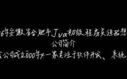 2026年合肥JaVa初级程序员招聘，薪资待遇如何？岗位要求有哪些？