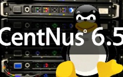 在CentOS 6.5轻松访问网页的指南