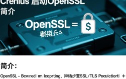 CentOS启动openssl，具体操作步骤和注意事项有哪些？
