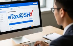 如何快速解决ETAXSH报错问题？