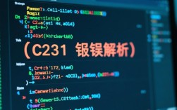 C231错误处理指南