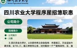 四川农业大学程序员招聘，有哪些具体职位和条件要求？