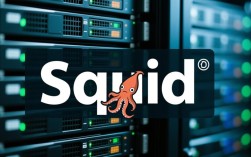 如何诊断与解决Squid常见错误？