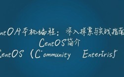 CentOS本机编程中，如何高效实现跨平台兼容性挑战？