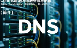 CentOS自建DNS过程中遇到哪些常见问题及解决方法？