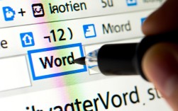 Word文档里如何精准插入页码？常见问题及解决技巧大揭秘！