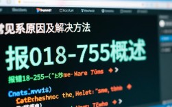 报错018-755究竟是什么原因导致的系统异常？解决方法详解揭秘！