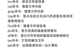 CentOS文件传输指南