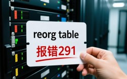 数据库表重组错误291解决指南