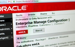 Oracle安装时EMCA错误排查指南