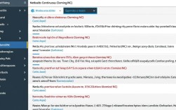 nc部署时报错究竟是什么原因导致，该如何解决这个棘手问题？
