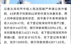 深圳退休夫妇巨额债务引关注，专家深度解析