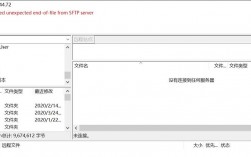 SFTP 连接失败或报错时，应如何排查和解决问题？