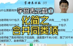 如何合并同类项？掌握这一技巧让你更高效！