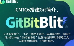 CentOS搭建Gitblit时，如何确保稳定性和安全性？步骤详解与常见问题解答？