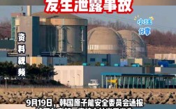 韩国核电站泄漏事故引发紧急应对