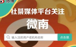 如何高效精准地在各大平台加关注，掌握最新动态？