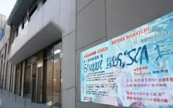 徐东五洲医院程序员招聘，具体职位和要求有哪些？