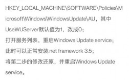 NetMgr 报错是怎么回事？