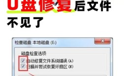 U盘数据恢复与格式化指南