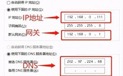 如何有效地连接网络？探索网络连接的步骤与技巧